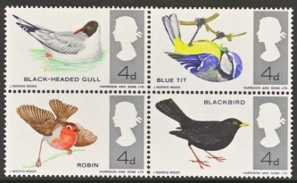 1966 Birds