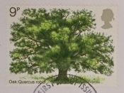 1973 Tree