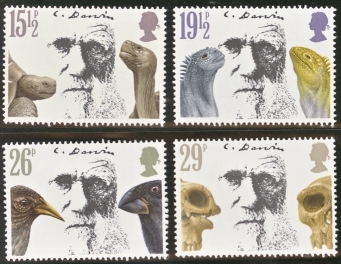 1982 Darwin