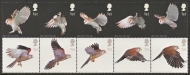 2003 Birds