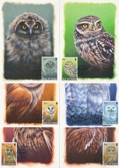 1997 Birds Owls