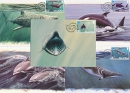 1998 Sea life