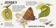 1991 Butterflies