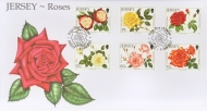 2010 Roses