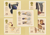 1996 Birds