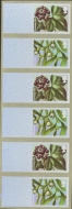 2014 2nd class Winter Greenery 6v Missing Text (the source codes and value)