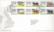 FS45 2012 Cattle 6 Designs