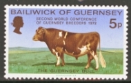 1972 Bull