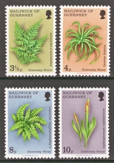 1975 Ferns