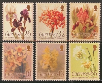 2005 Flowers