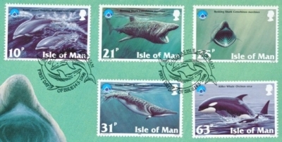 1998 Marine Life