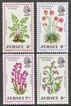 1972 Wild Flowers.