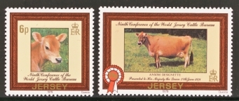 1979 Cattle