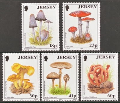 1994 Fungi
