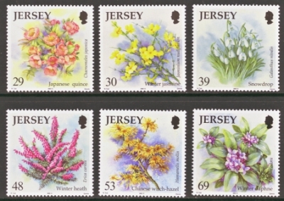 2003 Flowers