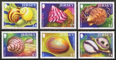 2006 Sea Shells