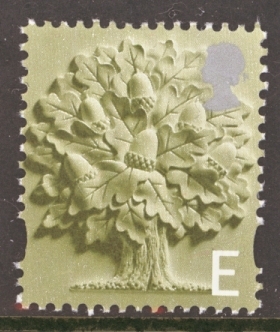 SG  EN3 E Oak Tree